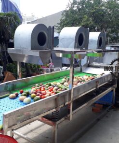 máy rửa trái cây công nghiệp