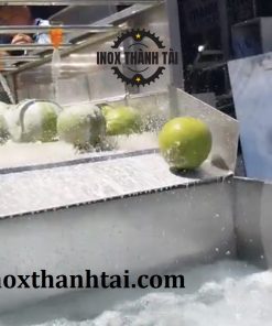 Máy rửa trái cây công nghiệp